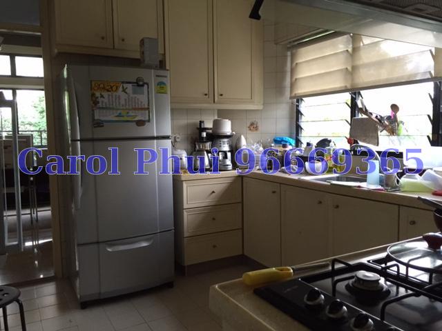 Mayfair Gardens (Enbloc) (D21), Condominium #65915622